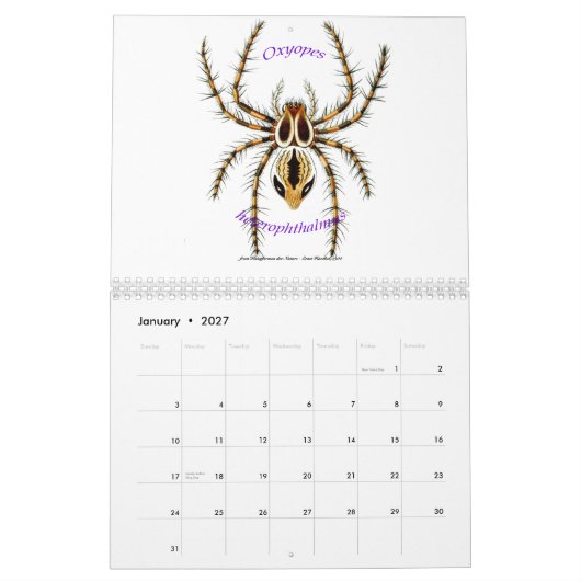Een kalender met spinnen van Ernst Haeckel. (Jan 2027)