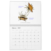 Een kalender met spinnen van Ernst Haeckel. (Feb 2027)