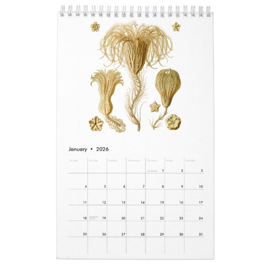 Een kalender met tekeningen van Ernst Haeckel (Jan 2026)