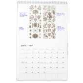 Een kalender met tekeningen van het plant. (Mar 2027)