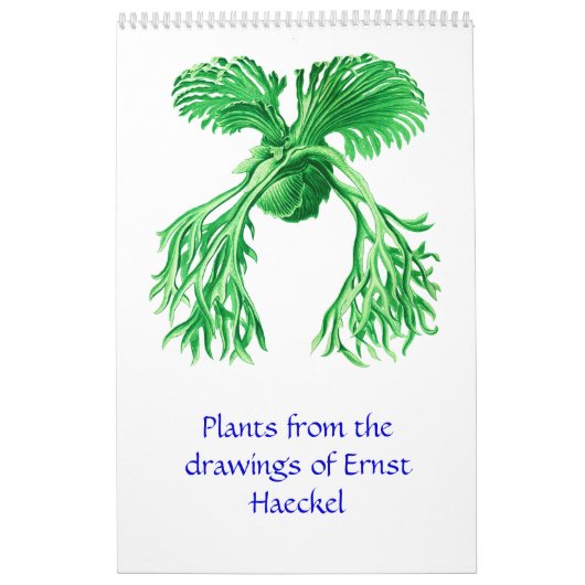 Een kalender met tekeningen van het plant. (Hoes)