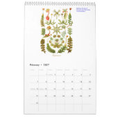 Een kalender met tekeningen van het plant. (Feb 2027)
