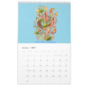 Een kalender met tekeningen van het plant. (Jan 2027)