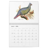 Een kalender met vogelschilderingen van John Gould (Mar 2026)