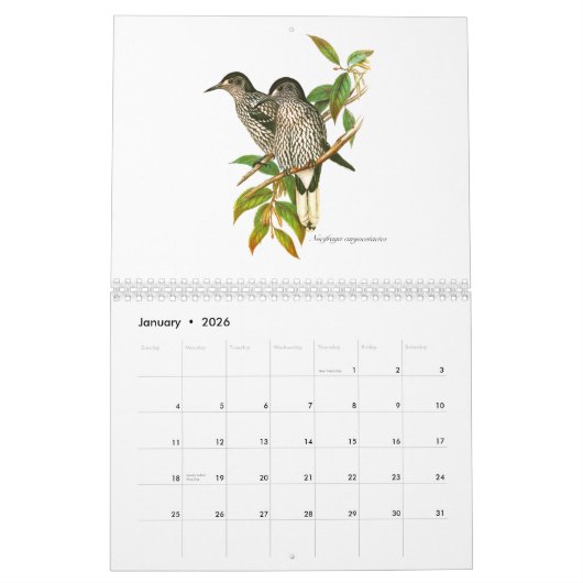 Een kalender met vogelschilderingen van John Gould (Jan 2026)