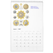 Een kalender uit de tekeningen van Ernst Haeckel. (Mar 2027)