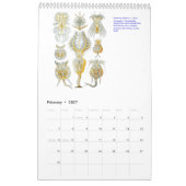 Een kalender uit de tekeningen van Ernst Haeckel. (Feb 2027)
