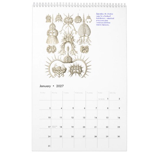 Een kalender uit de tekeningen van Ernst Haeckel. (Jan 2027)