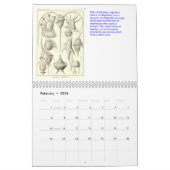 Een kalender uit de tekeningen van Ernst Haeckel (Feb 2026)