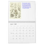 Een kalender uit de tekeningen van Ernst Haeckel (Mar 2027)