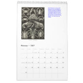 Een kalender uit de tekeningen van Ernst Haeckel. (Feb 2027)