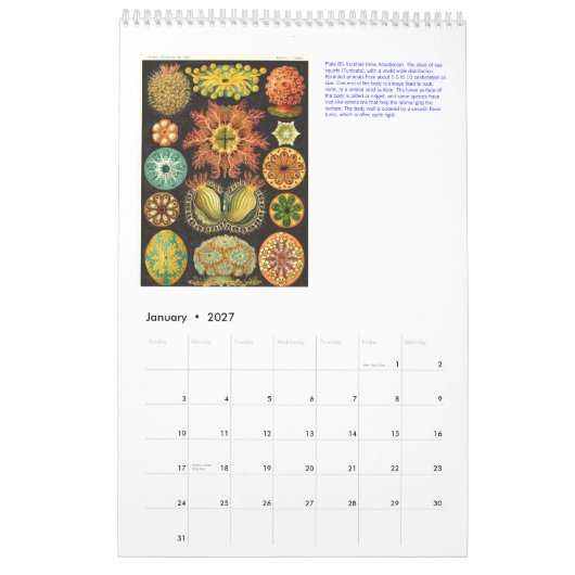 Een kalender uit de tekeningen van Ernst Haeckel. (Jan 2027)