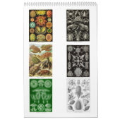 Een kalender uit de tekeningen van Ernst Haeckel. (Hoes)