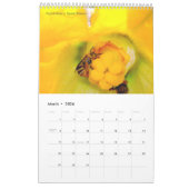 Een kalender van bijen voor 2024 - 11 x 14¼ inch (Mar 2026)