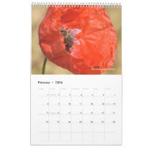 Een kalender van bijen voor 2024 - 11 x 14¼ inch (Feb 2026)