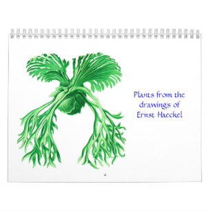 Een kalender van de planten van Ernst Haeckel