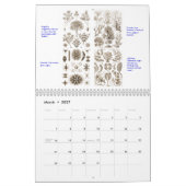 Een kalender van de planten van Ernst Haeckel (Mar 2027)