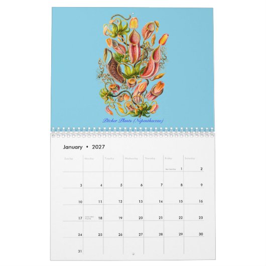 Een kalender van de planten van Ernst Haeckel (Jan 2027)