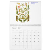 Een kalender van de planten van Ernst Haeckel (Feb 2027)