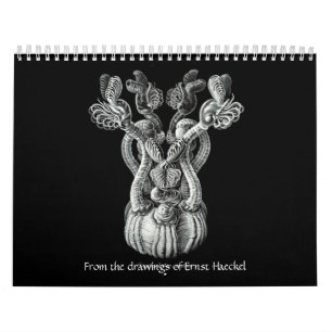 Een kalender van de tekeningen van Ernst Haeckel.