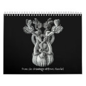 Een kalender van de tekeningen van Ernst Haeckel. (Hoes)