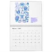 Een kalender van de tekeningen van Ernst Haeckel. (Feb 2027)