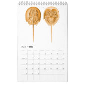 Een kalender van een aantal tekeningen van Ernst H (Mar 2026)