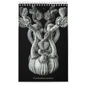 Een kalender van een aantal tekeningen van Ernst H (Hoes)