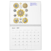 Een kalender van microscopische planten en dieren. (Mar 2027)