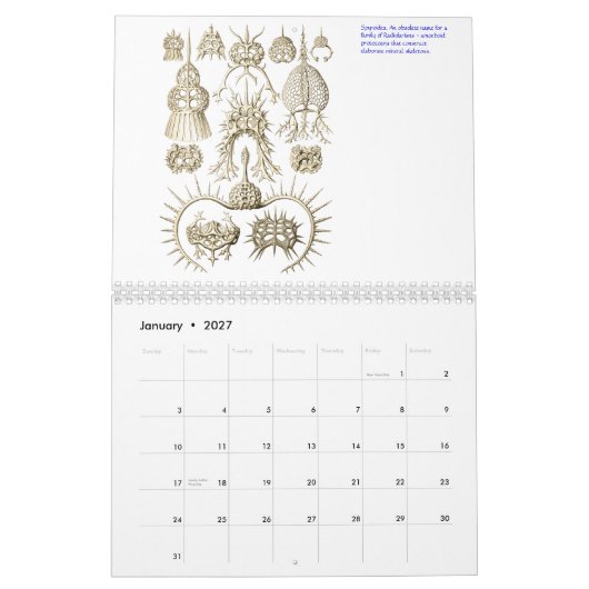 Een kalender van microscopische planten en dieren. (Jan 2027)