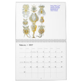 Een kalender van microscopische planten en dieren. (Feb 2027)