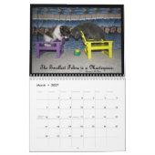 Een kalender voor het leven van een kat - met vun (Mar 2027)