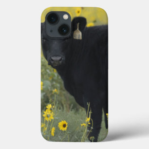 Een kalf te midden van de zonnebloemen van Nebrask Case-Mate iPhone Case