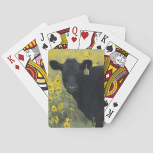 Een kalf te midden van de zonnebloemen van Nebrask Pokerkaarten