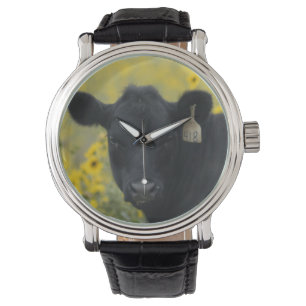 Een kalf tussen de zonnebloemen van de Nebraska Horloge