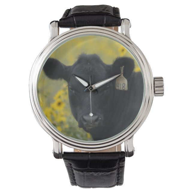 Een kalf tussen de zonnebloemen van de Nebraska Horloge (Voorkant)