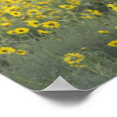 Een kalf tussen de zonnebloemen van de Nebraska Poster (Hoek)