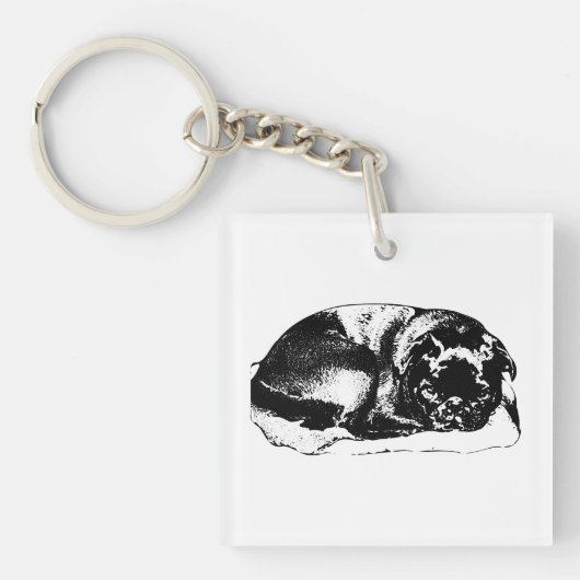 Een kalme metgezel dichtbij sleutelhanger (Voorkant)