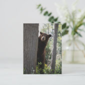 Een kaneel beer briefkaart (Staand voorkant)