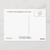 Een kaneel beer briefkaart (Achterkant)