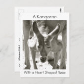 Een kangoeroe met een hartvormige neus briefkaart (Voorkant / Achterkant)