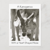 Een kangoeroe met een hartvormige neus briefkaart (Voorkant)