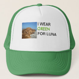 Een kanker kleur dragen voor mijn hond Trucker Hoe Pet