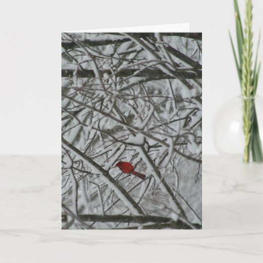 Een kardinaal in de besneeuwde bomen feestdagen kaart (Voorkant)