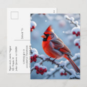 Een kardinaal op een besneeuwde tak kerst feestdagenkaart (Voorkant / Achterkant)