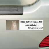 Een kat aannemen bumpersticker (Op auto)