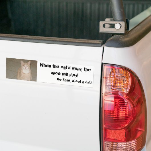 Een kat aannemen bumpersticker (Op Truck)