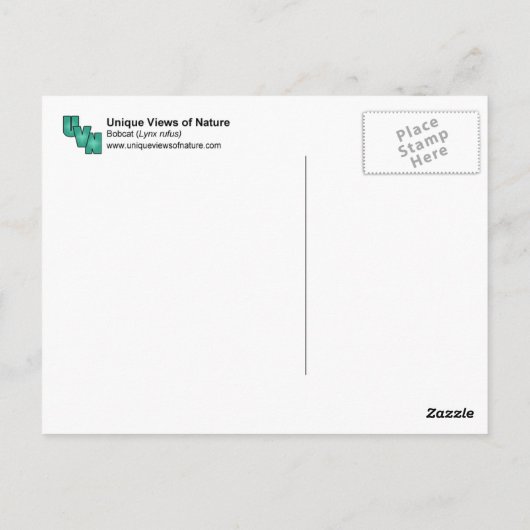 Eén kat briefkaart (Achterkant)