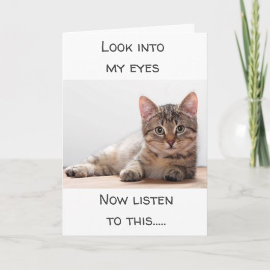 EEN KAT DIE GEVOELEN HEEFT, ZEGT "HAPPY BIRTHDAY" KAART (Voorkant)