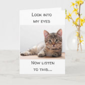 EEN KAT DIE GEVOELEN HEEFT, ZEGT "HAPPY BIRTHDAY" KAART (Gele Bloem)